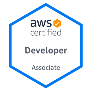Developer